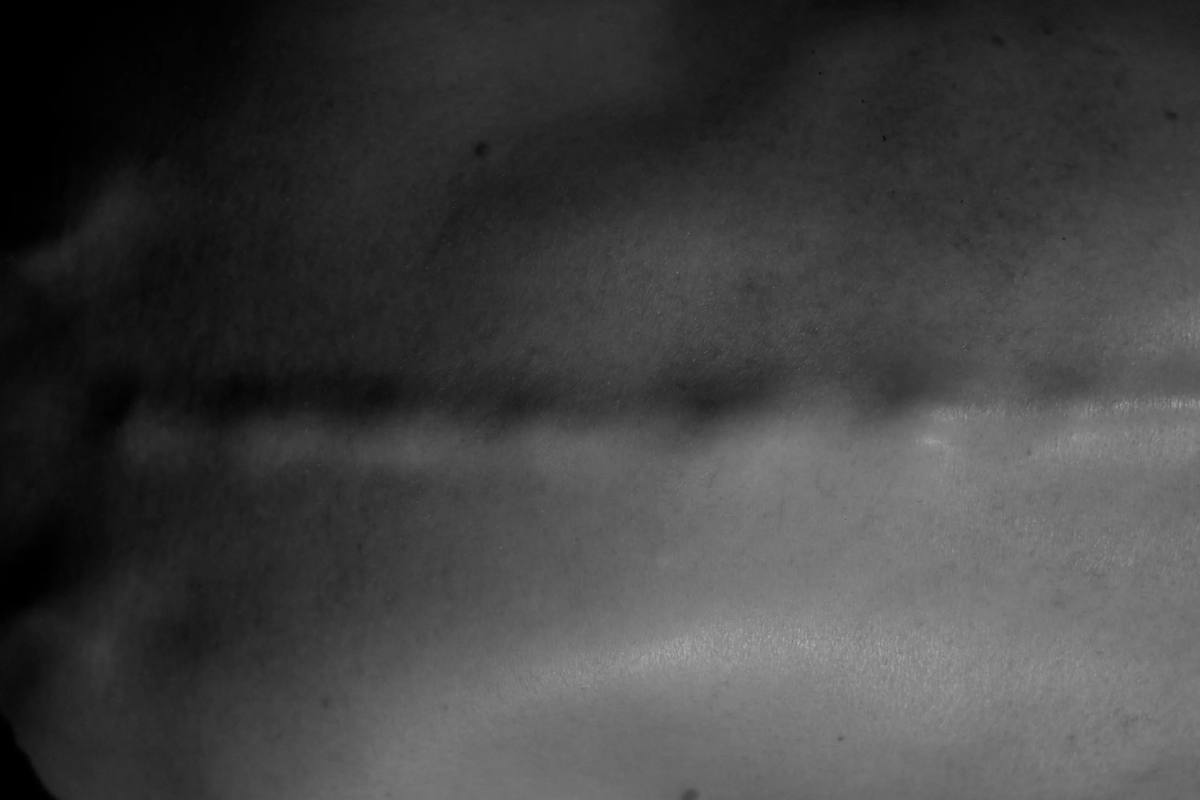 TTCP: Trabajo de transición corporal en progreso